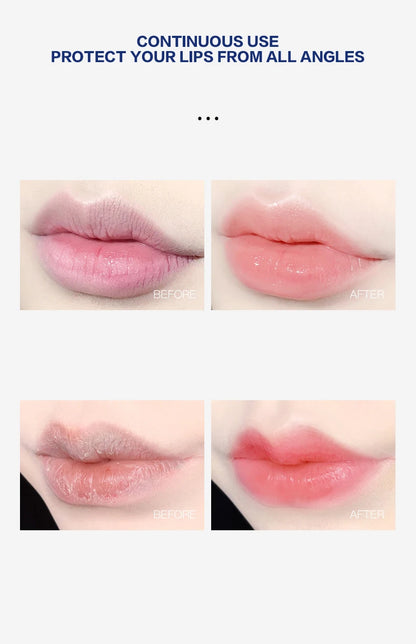 4/6/8pcs Moisturizing Lip Balm Set Whitening Moisturizing Base Natural Plant Base Moisturizing Crack Lip Care Jelly Moisturizer