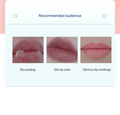 4/6/8pcs Moisturizing Lip Balm Set Whitening Moisturizing Base Natural Plant Base Moisturizing Crack Lip Care Jelly Moisturizer